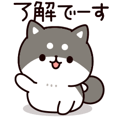 Answer Shiba Dog 3 Line Stickers Line Store