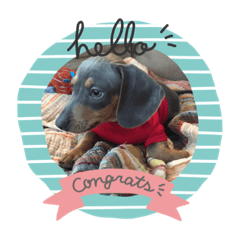 Yukari_20181108223836