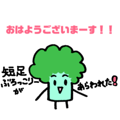 broccoli and merry vegetables