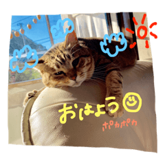 Nono_20181109010538