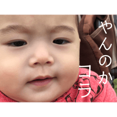 minami_20181109161352