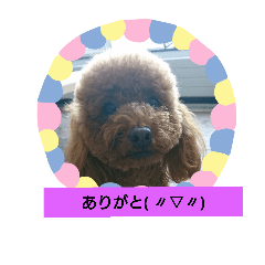 tetsu_20181109211551