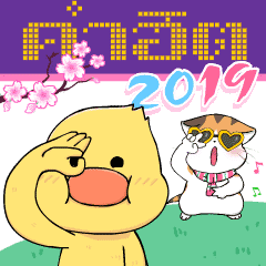 Soidow Cat 4