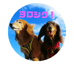 ponta_20181109231538
