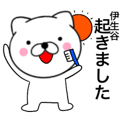 cat Isetani