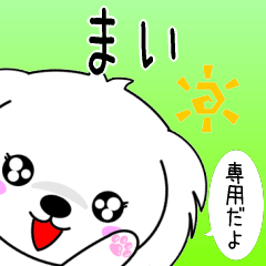 Mai only Cute Maltese Sticker