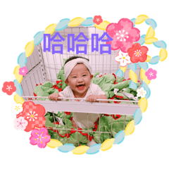 蜜蜜的日常表情