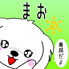 Mao only Cute Maltese Sticker