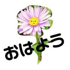 HENACHOKOPANMAN_20181109165347