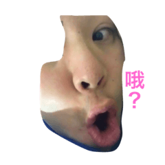 安安你好呀！