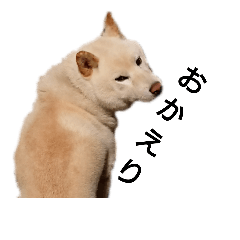 No Name_20181107134315
