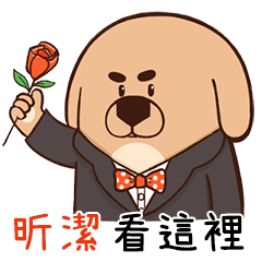 BOSS - Tease "HSIN CHIEH" stickers