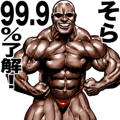 Sora dedicated Muscle macho sticker