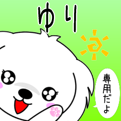 Yuri only Cute Maltese Sticker