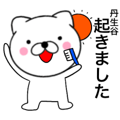 Cat tasetani