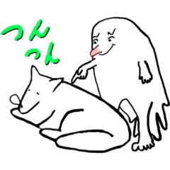 cho  cho  ka 8