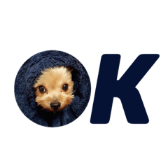 mako_20181110131231