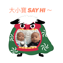大寶 小寶 來報到
