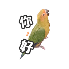 寶寶貼圖-改良版