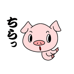 Greetings of the pink pig