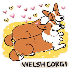 Every Day Dog Welsh Corgi