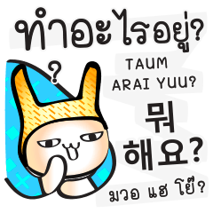 Learn Daily Thai Korean by Chatting