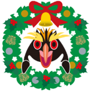 End of year. Groovy penguin