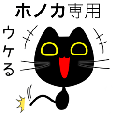 【ホノカ】専用の黒猫です