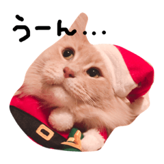 omochi_20181111234650