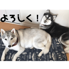 miko_20181111221905