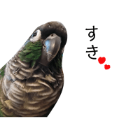 ntnt_20181112123650