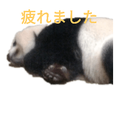 michael_20181112125543