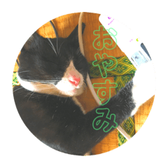 ume_20181112113346