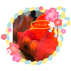 Emily_20181115142854