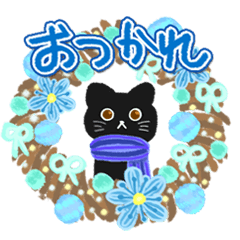 Cute winter black cat