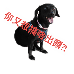ㄚ頭→日常篇