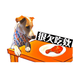 偽邊境表情百百款
