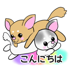 毎日使える仲良し愛犬双子のチワワ Line スタンプ Line Store