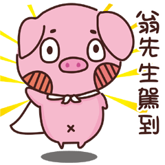 Coco Pig -Name stickers - Mr.Weng