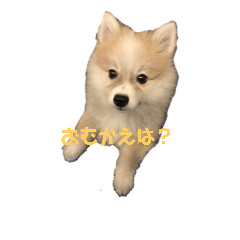 MIZUKI_20181112193031