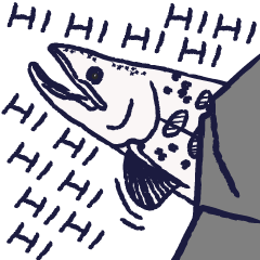 Daily Formosan Salmon