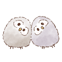 The two baby owls