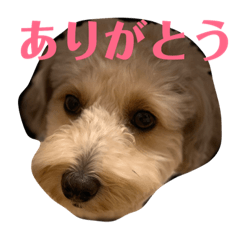 milky_20181113171729