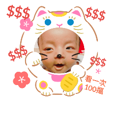 睿睿本寶寶