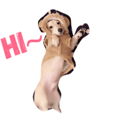 球兒～
