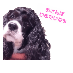 risa_20181113210140