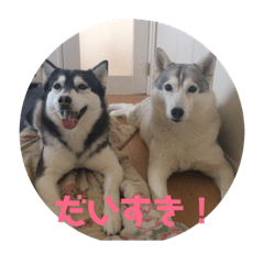 miko_20181113233104