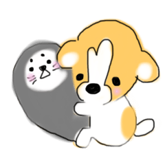 ayumi_20181114204850