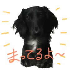 Riku s stickers