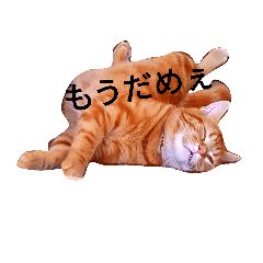 nagi_20181114181003